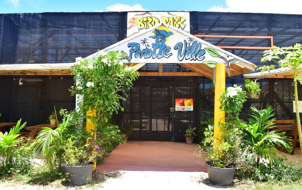 parrot ville bird park st maarten entrance 1024