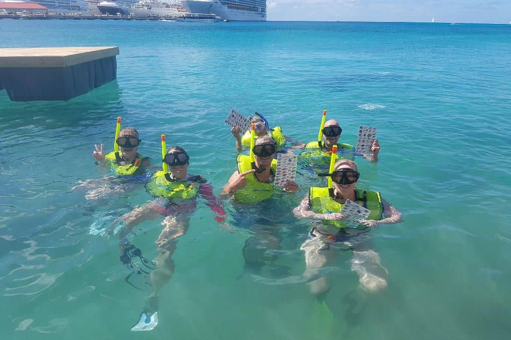 reef it snorkling st maarten 1